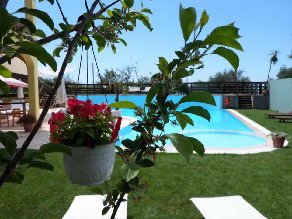 Hawaii Accommodation Pelekas Exterior foto